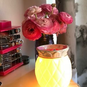 Meet your Posher, Anita